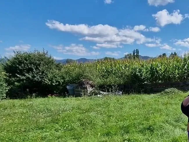 Ich piss ganz frech bei meinem Nachbarn in den Garten