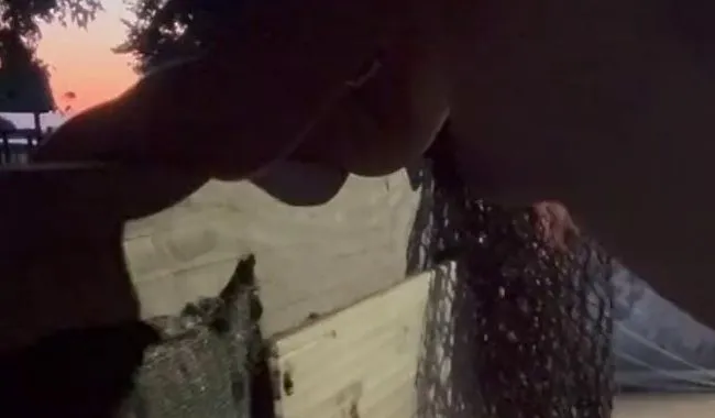 Doggy im Heulager beim Sonnenuntergang – Wilder Fick am Stall!