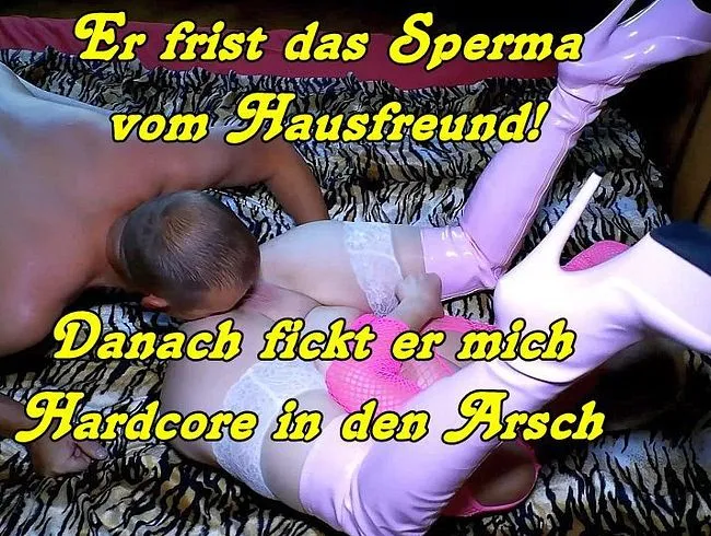 Ohne Gummi ins vor besamte Arschloch rein