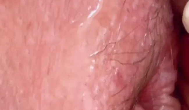 Die Zuckerstange wird nass ran genommen, ob es ihr gefällt?