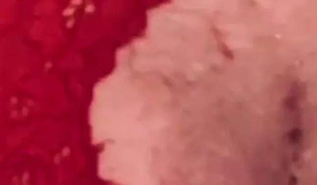 Mit dem Maiskolben tief rein....